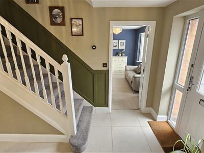 Picture 5
